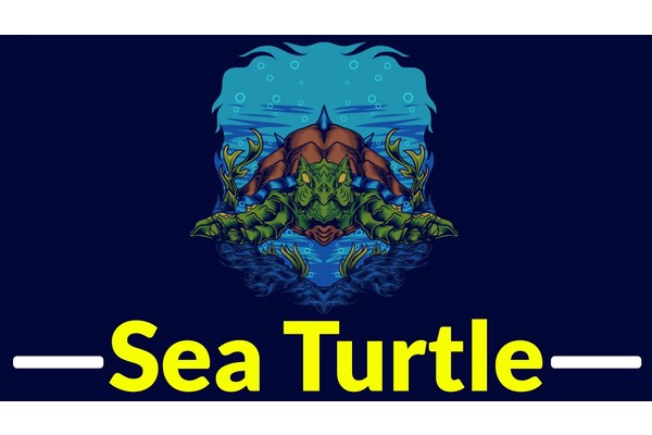 Sea Turtle APT Group Exploiting Known Vulnerabilities to Attack IT-service Providers