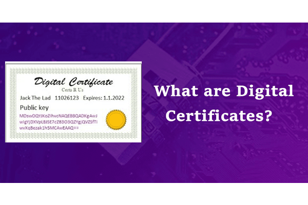 What are Digital Certificates?? How It Stops Hackers From Stealing Sensitive Data