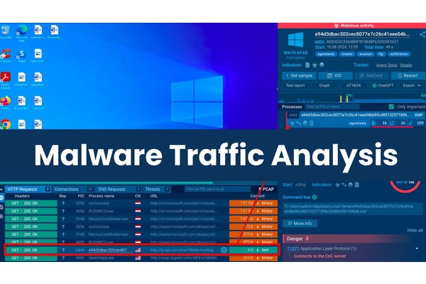 Tools for Conducting Malware Traffic Analysis in a Sandbox