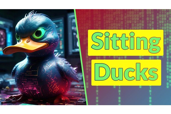 Sitting Ducks DNS Attack Hijack 35,000 Domains