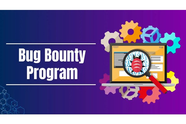 What is Bug Bounty Program: Why Organization Needs Them?