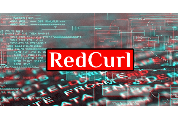 Rent a Hacker: Russian APT group “RedCurl” Attack Corporate Network to  steal Commercial documents
