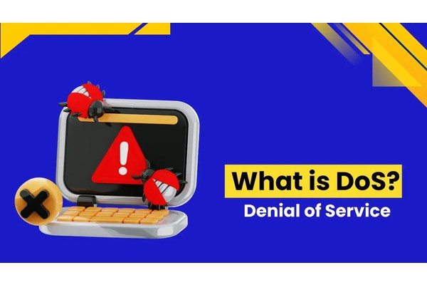 What is Denial of Service(DoS) Attack?