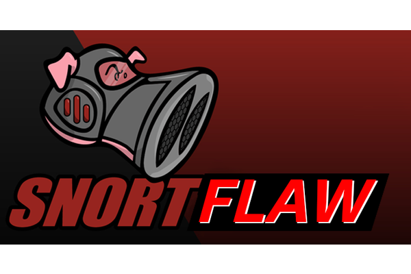 Snort Flaw Let Attacker to Trigger DoS Condition & Pass Malicious Traffic