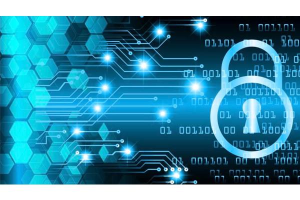 Factors that Increase the Attack Surface of Your Business