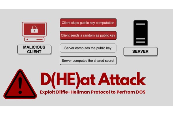 D(HE)at Attack