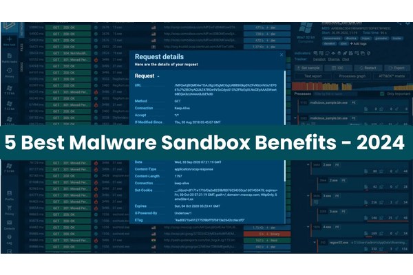 5 Best Ways a Malware Sandbox Can Help Your Company – Threat Analysis Guide 2024
