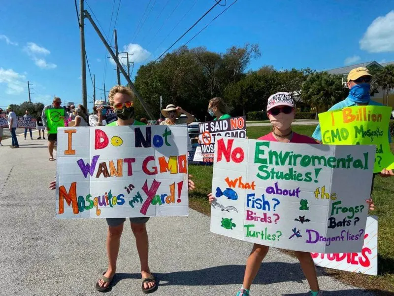 img Credit: David Goodhue/Miami Herald
