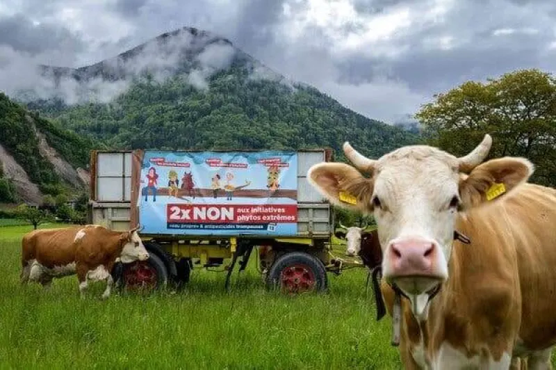 A referendum campaign banner in Ollon, Switzerland, against the use phytosanitary products ahead of a vote on banning the use of pesticides in Swiss agriculture. Credit: Fabrice Coffrini/AFP/Getty Images
