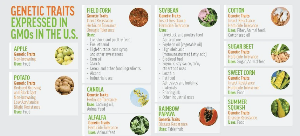 genetic traits expressed gmo crops