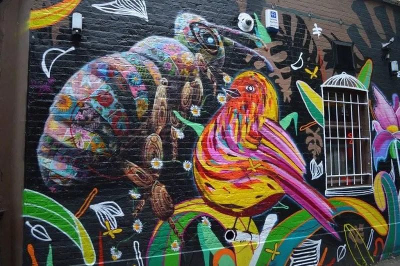 "Bee versus bird" Credit: Matt From London