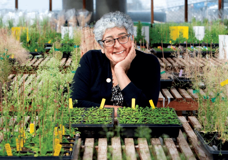 Joanne Chory. Credit: Salk Institute