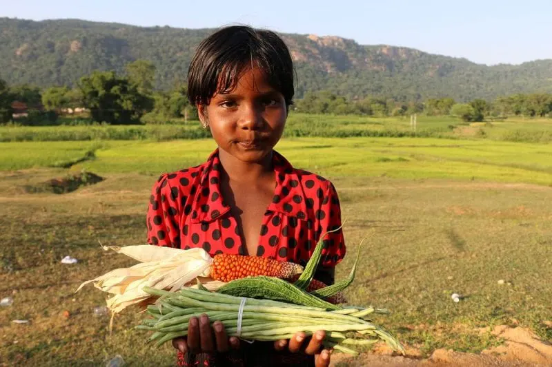 Credit: Sonal Dszouza/Biodiversity International