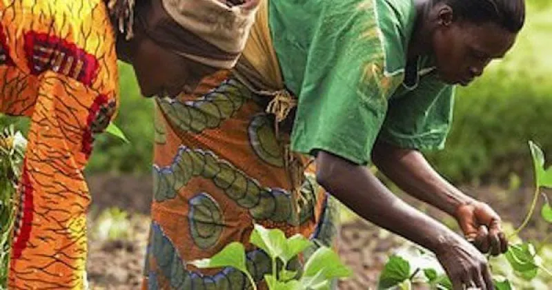 ghana women ghana women