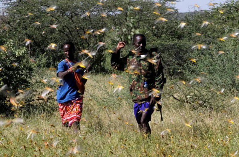 Credit: Njeri Mwangi/Reuters