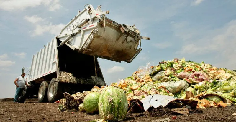 food waste opt