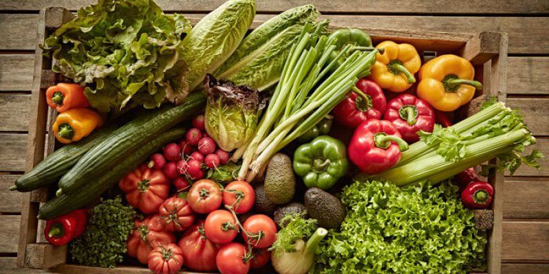 salad vegetable box salad vegetable box