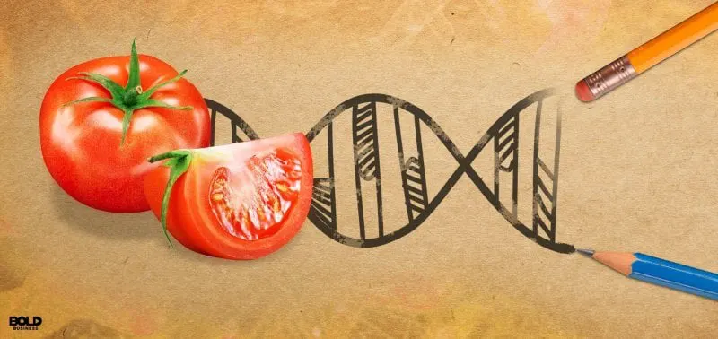 Credit: Bold Business