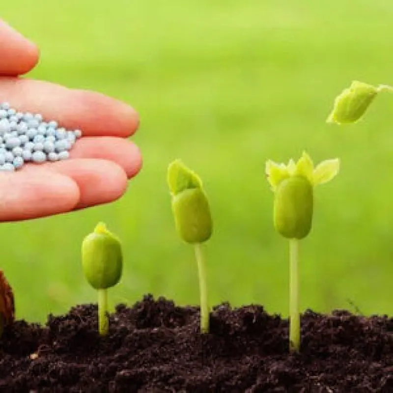 biopesticides x