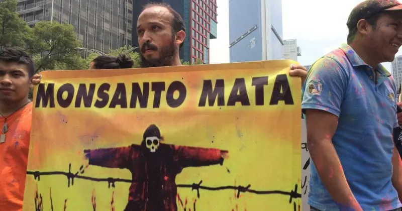 monsanto mata x