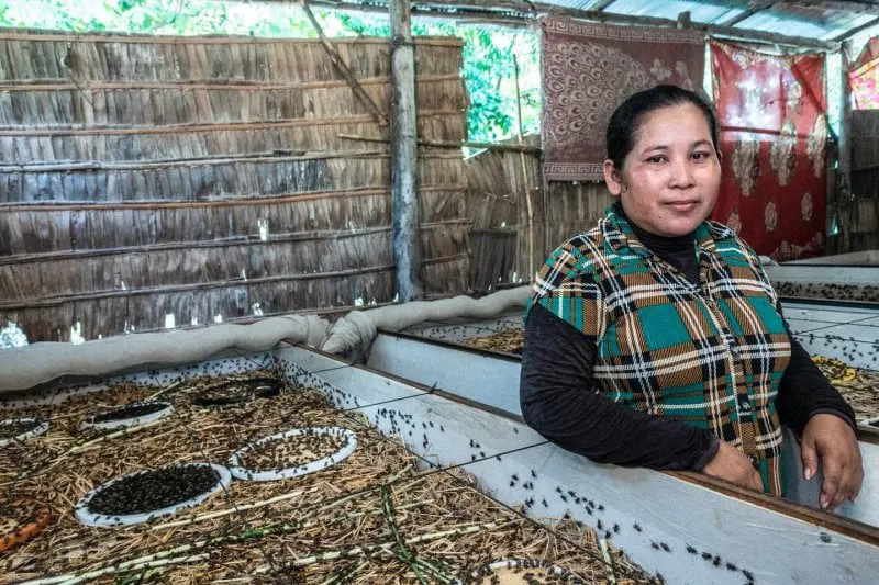 Ngo Sinoun, a 37-year-old Cambodian insect farmer. Credit: Roberto Traina