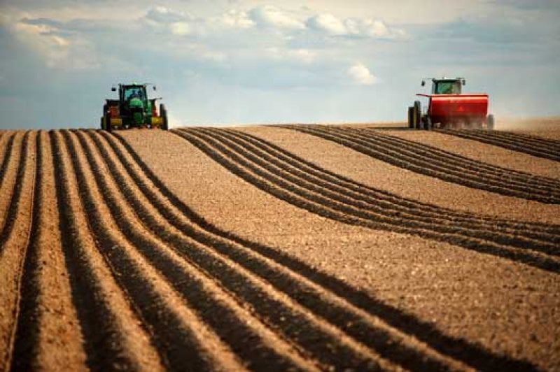 Agriculture Plowing Tractors