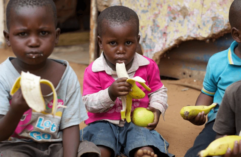 foodafrica