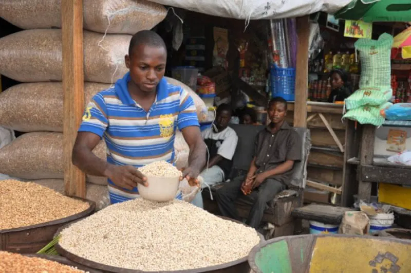 cowpea market iita