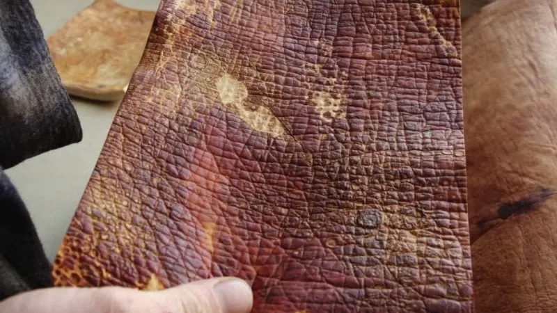 mushroom leather mushroom leather
