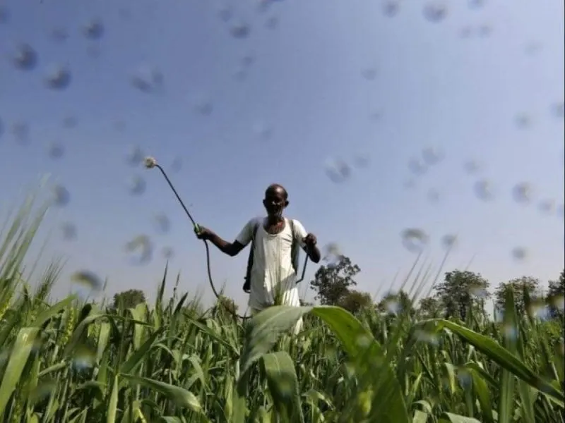Credit: Amit Dave/Reuters