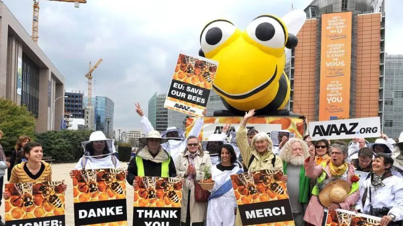 beekeepers afp beekeepers afp