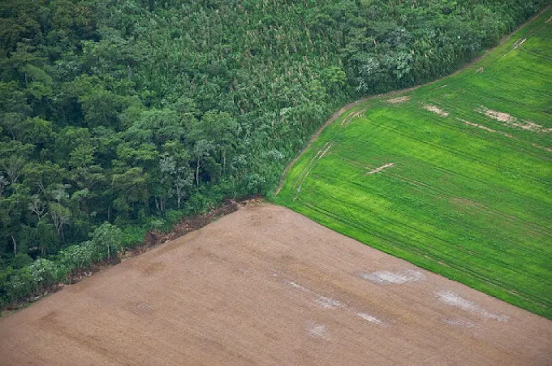 Credit: Per Square Mile