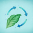 Podcast: Genetically-engineered houseplants can scrub household toxins from the air