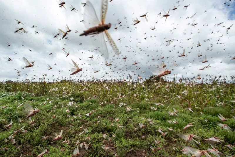 Credit: National Geographic