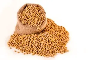 soybeans