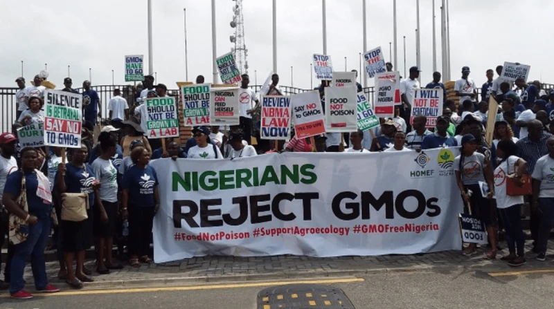 Credit: EnviroNews Nigeria