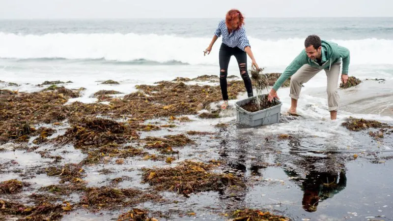 Credit: Ryam Benoit/The Horticult