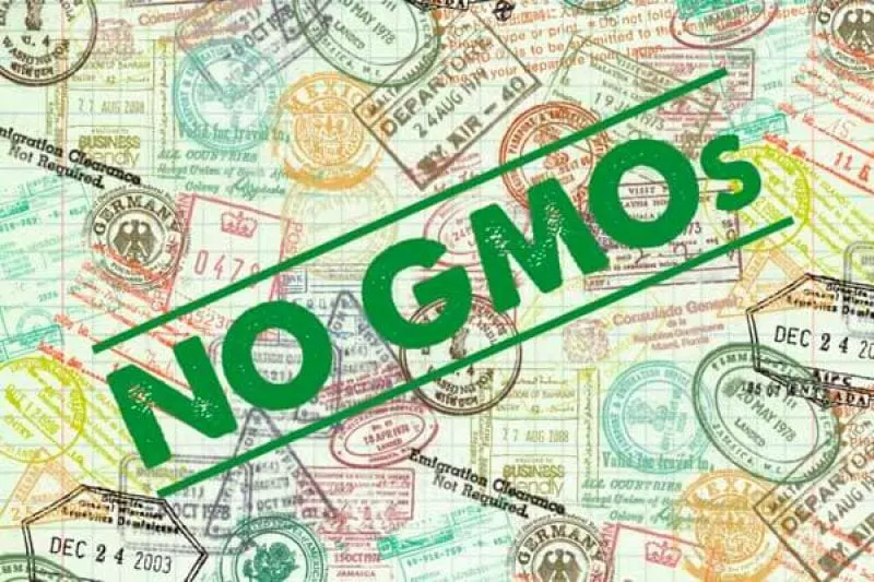 gmos in the eu gmos in the eu
