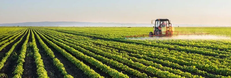 glyphosate