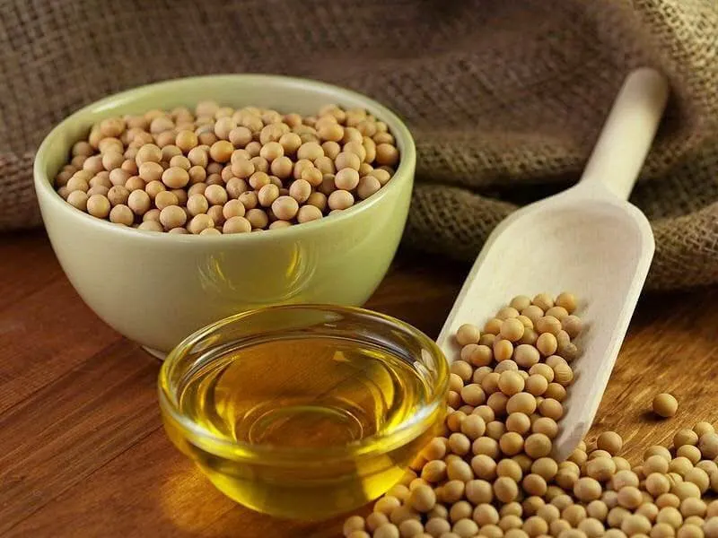 soybean