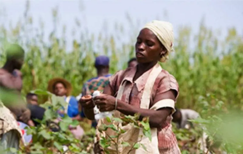 Credit: Kenyan Ministry of Industrialization, Trade and Enterprise Development