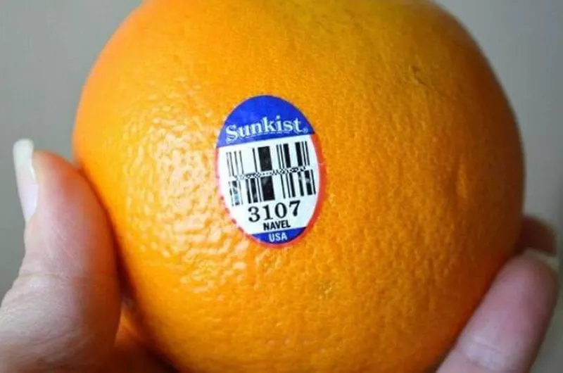 Credit: Women Daily Magazine