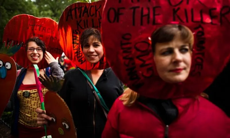 Demonstrators in New York dress up as tomatoes during an anti-GMO march on May 25, 2013. Credit: Eduardo Munoz/Reuters