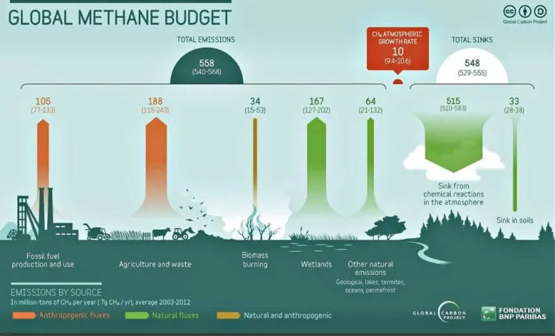 globalmethanebudget globalcarbonproject cropped x