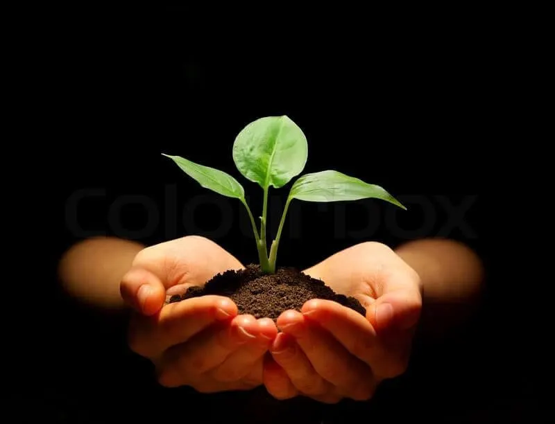 planthand