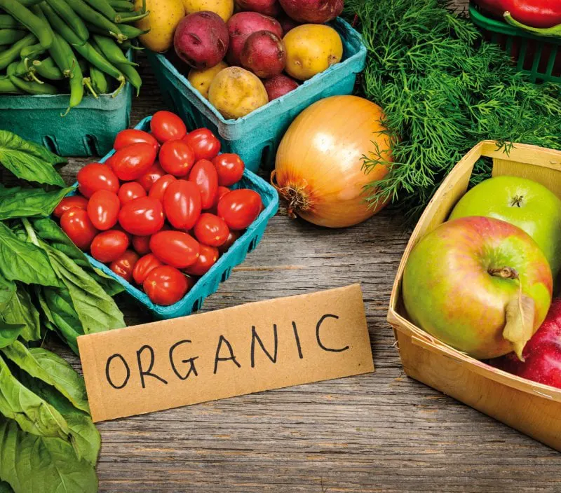 Credit: Elena Elisseeva