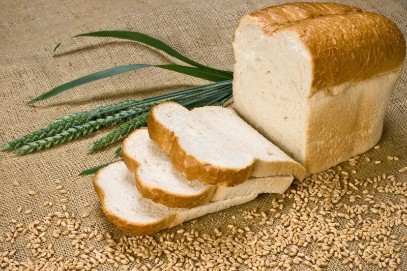 Bread DSC TEXT