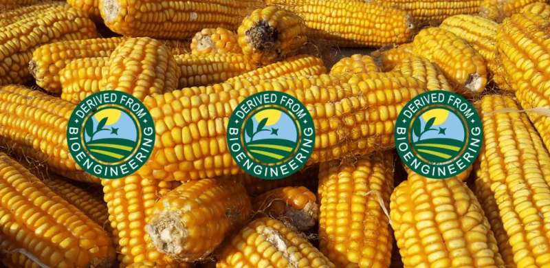 Credit: USDA/NFE