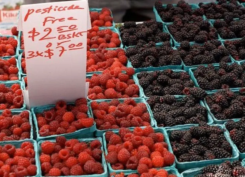 pesticide free berries thumb x b