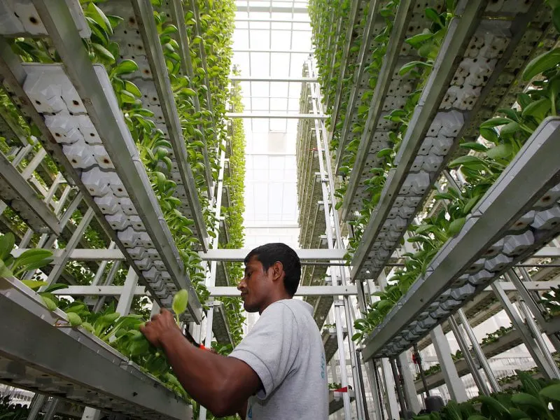 vertical farming vertical farming